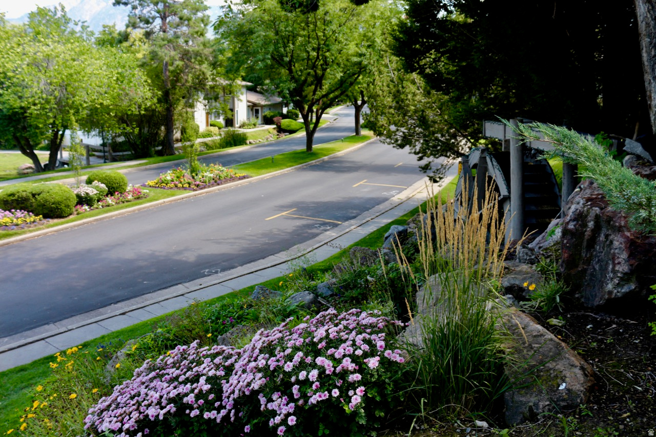 WATERBURY OP - Residential