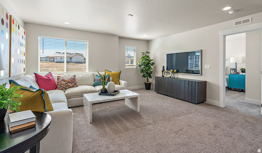 CANYON VIEW MEADOWS - Residential