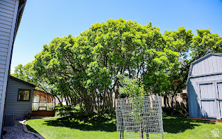 JACKSON HEIGHTS - Residential