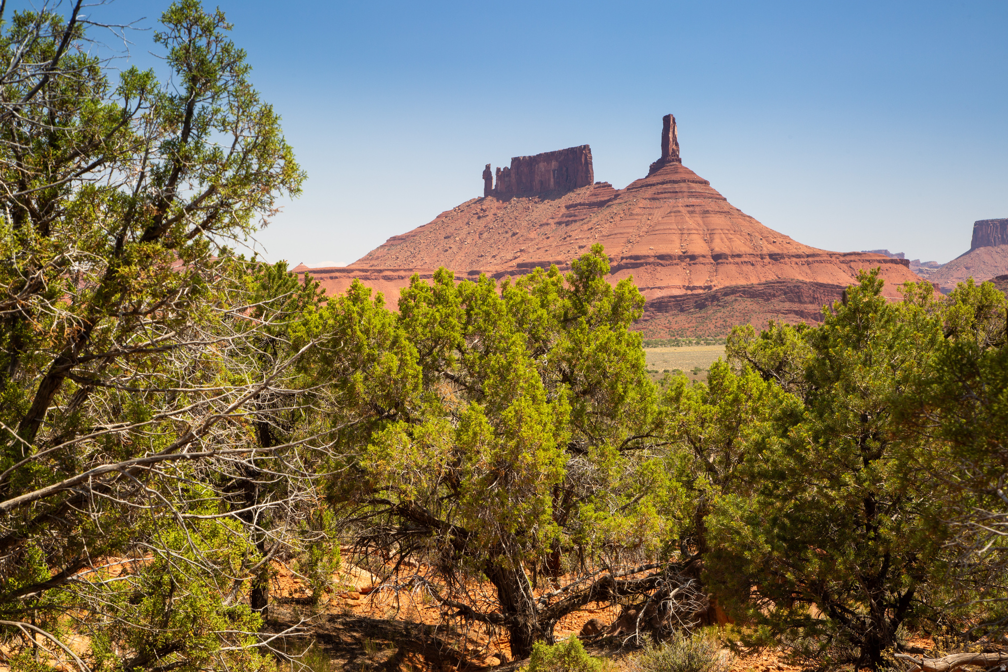 Gateway to Adventure: Nestled in a serene red rock valley, this unique 7.20 acre residential lot offers 360 views of towering mesas, sculpted cliffs, and the La Sal Mountains. Mature trees add shade and character, while the peaceful landscape is dotted with wildflowers and framed by stunning sunrises and dark, star-filled skies. Surrounded by adventure, minutes from ancient dinosaur tracks, world-class climbing, and hiking or skiing in the La Sales. Just 35 minutes to Moab, with its famous slickrock trails and river adventures, yet grounded in the calm of Castle Valley - a tight-knit community of around 400. Power can be brought to the lot, making it ready for your dream desert retreat. Water to be drilled. Experience the freedom, beauty, and adventure of desert living. Schedule your private viewing today!
