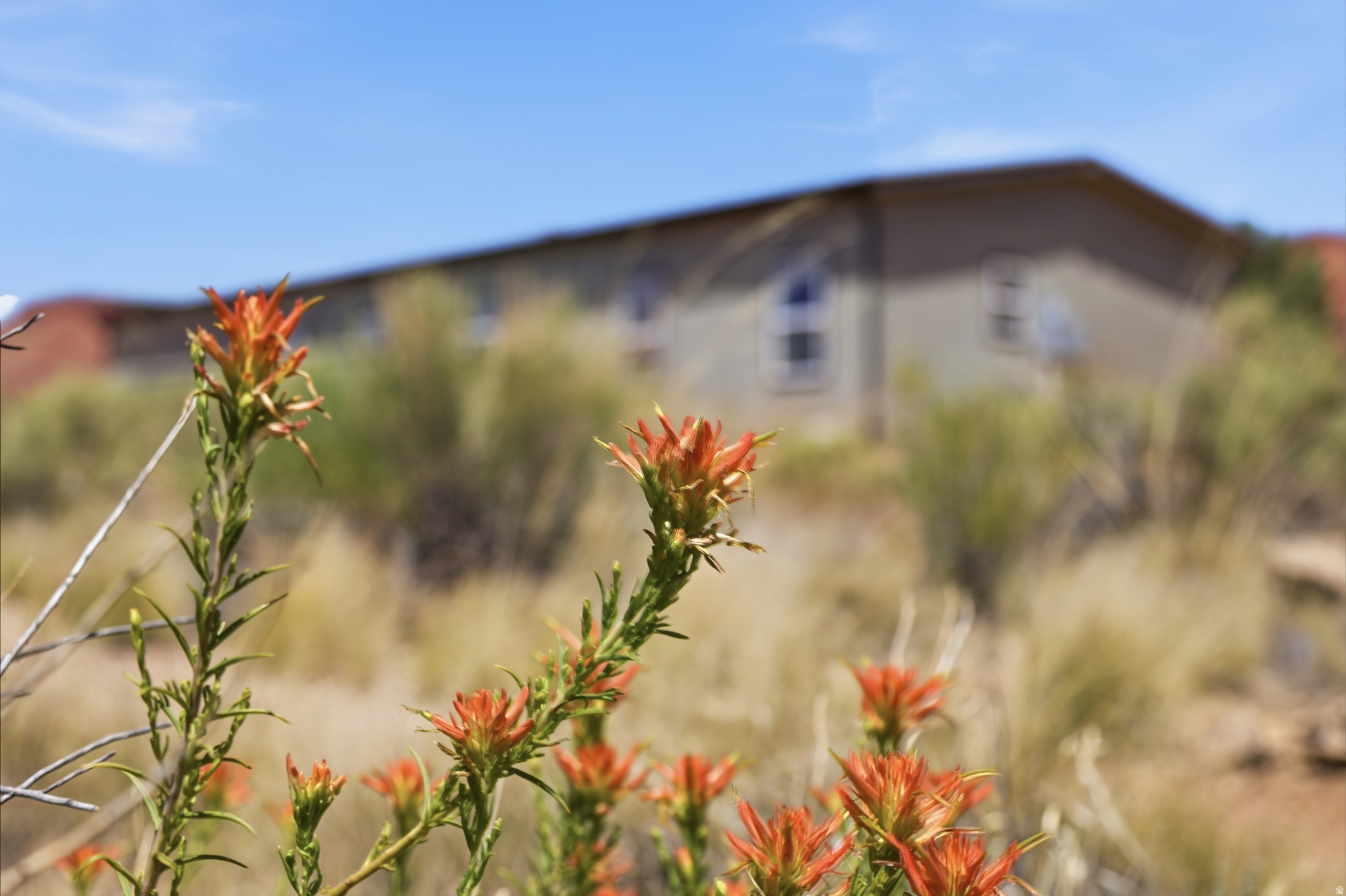 VERMILION CLIFF ESTATES - Residential