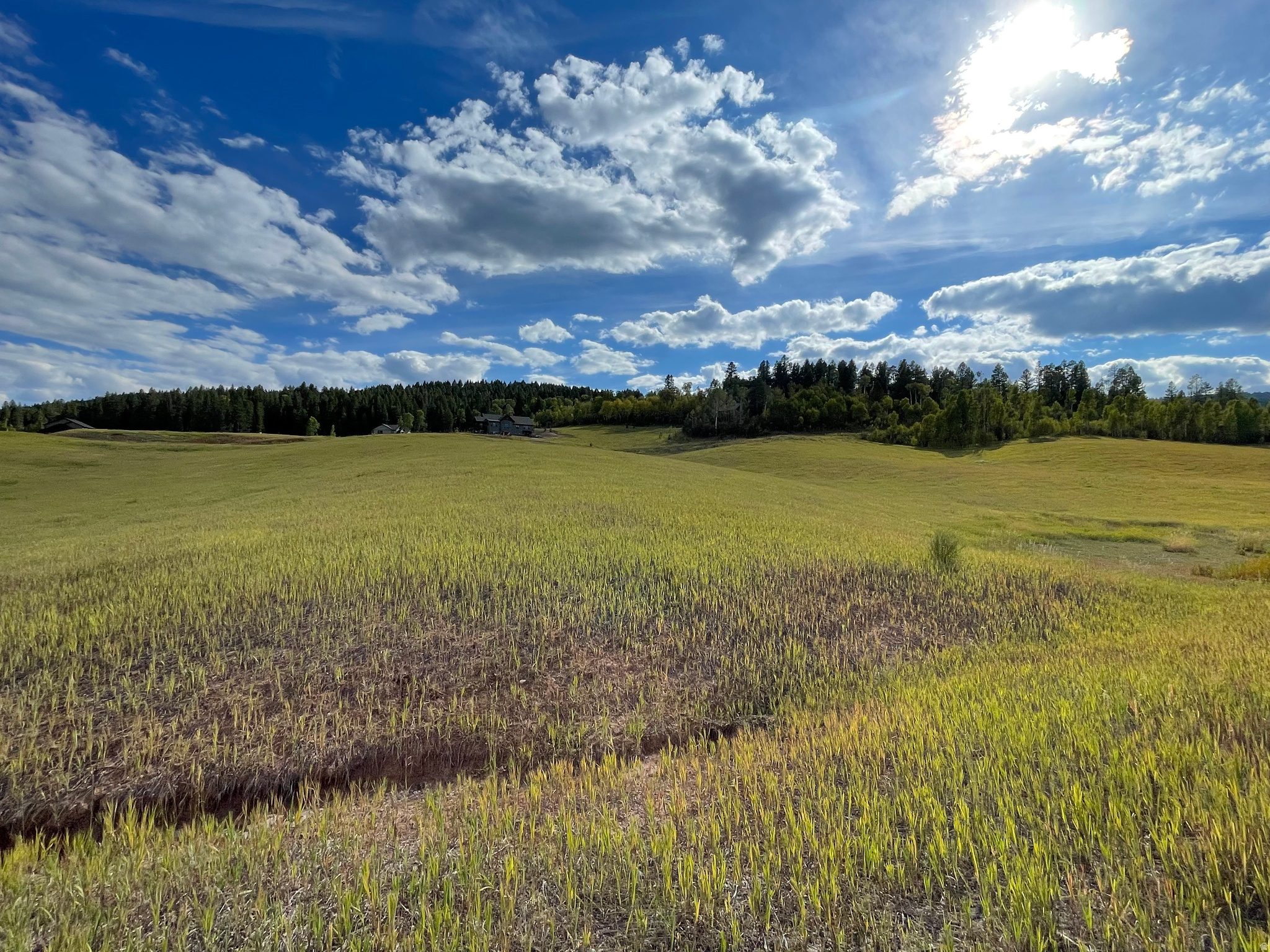 GROUSE CREEK RANCH - Land