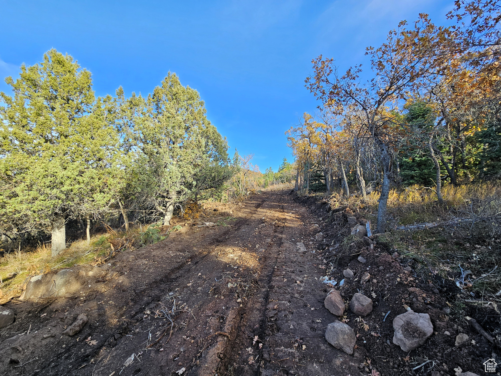 SKYLINE ACRES - Land