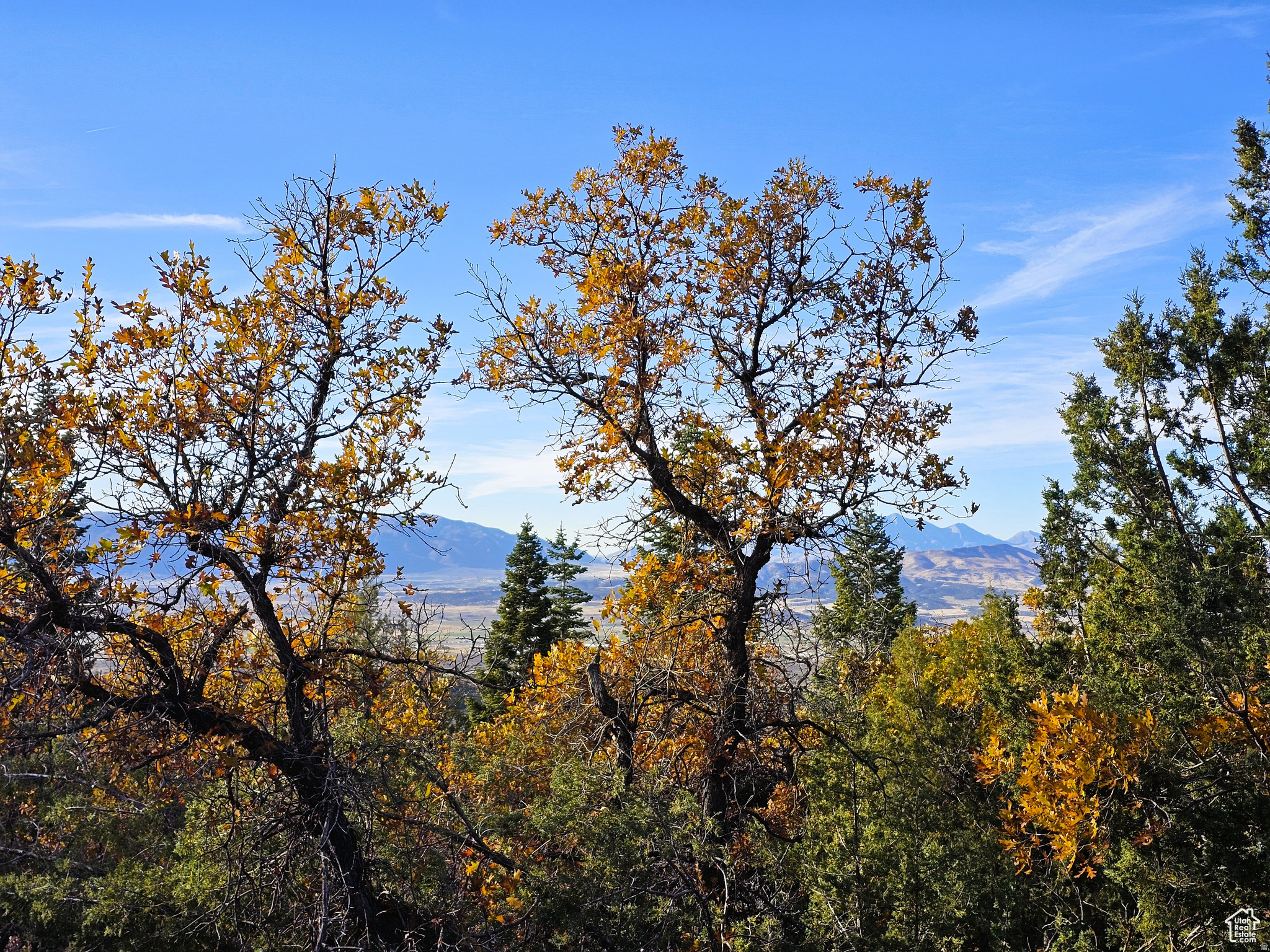SKYLINE ACRES - Land