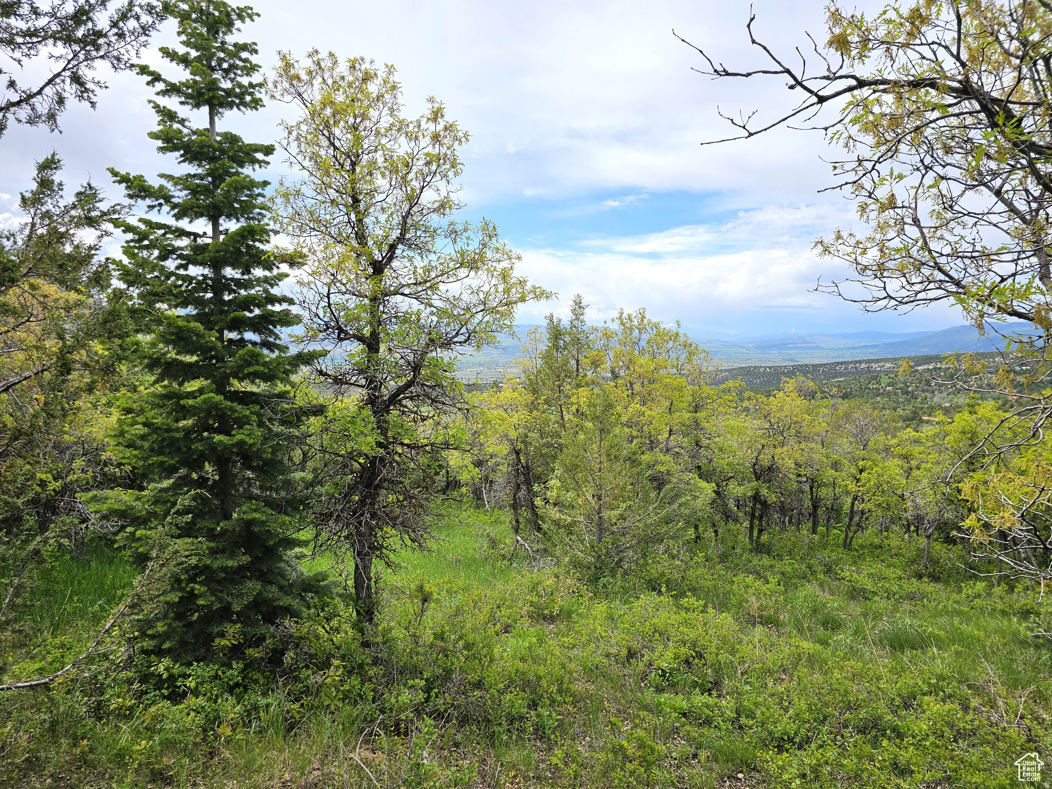 SKYLINE ACRES - Land