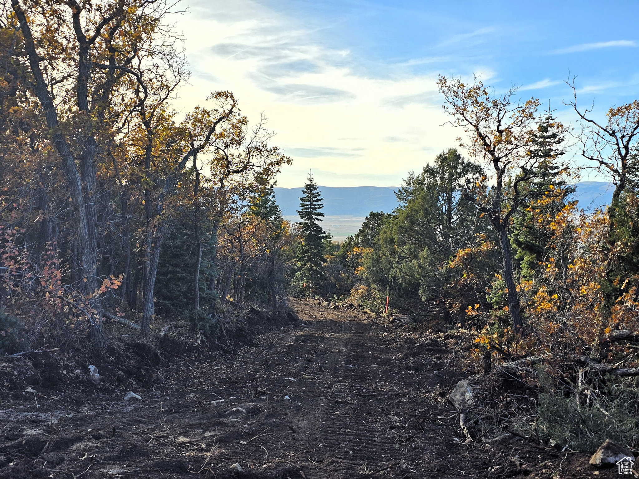 SKYLINE ACRES - Land