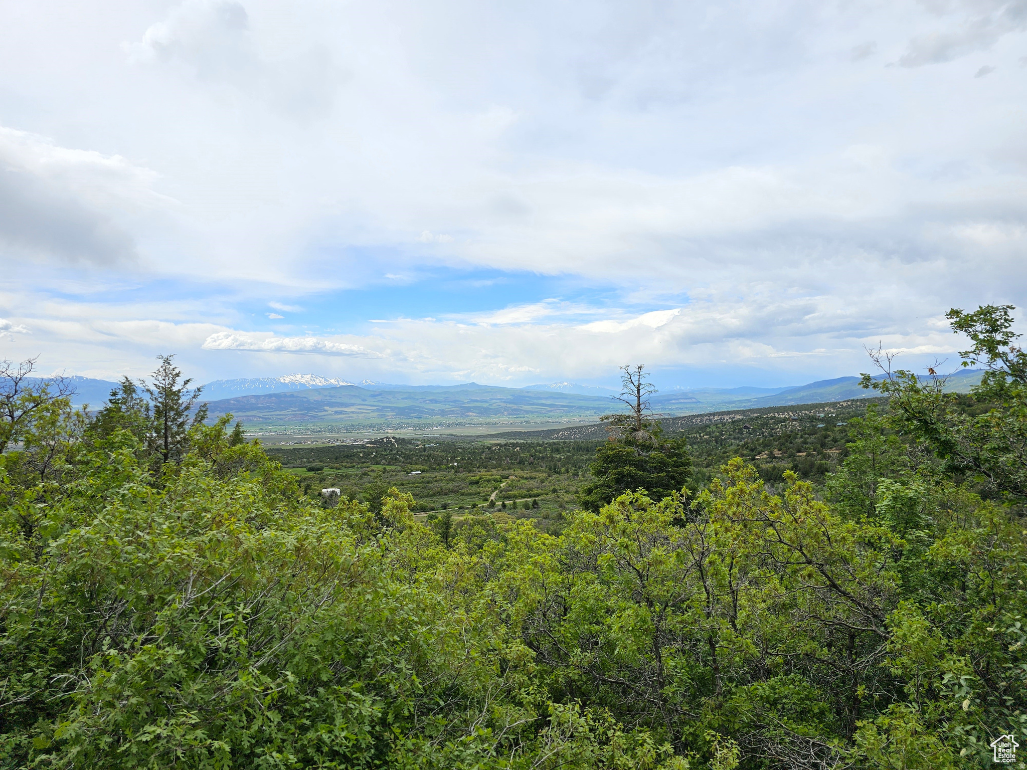 SKYLINE ACRES - Land
