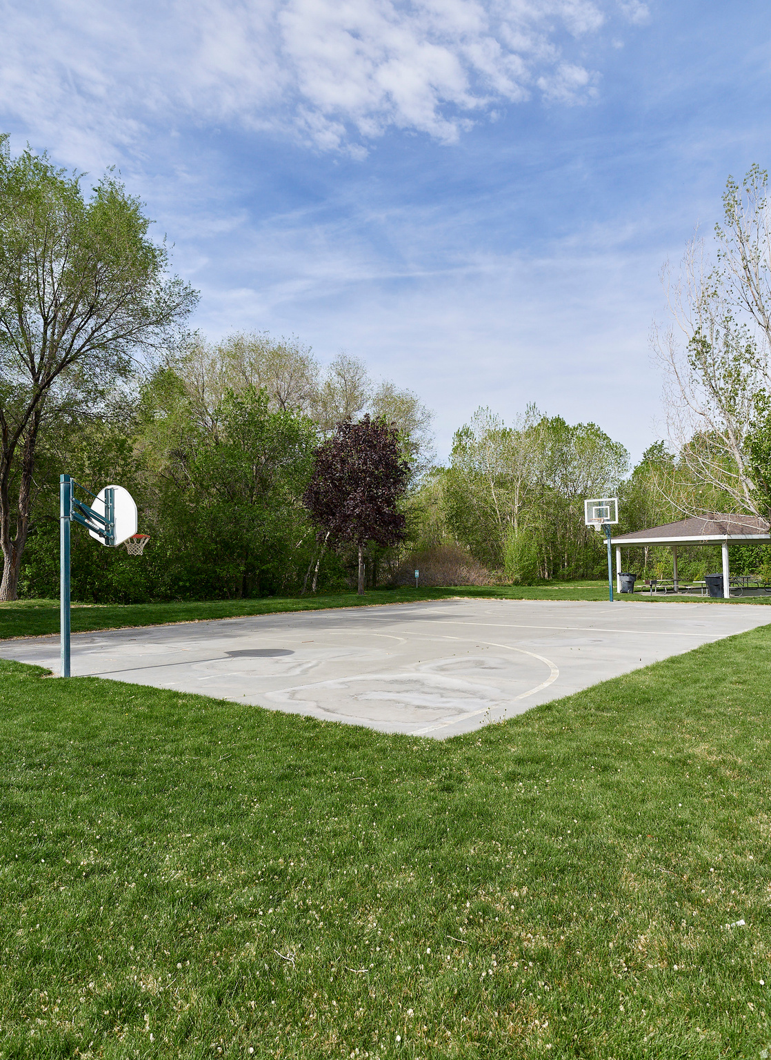 MAPLES AT BROOKSIDE - Residential