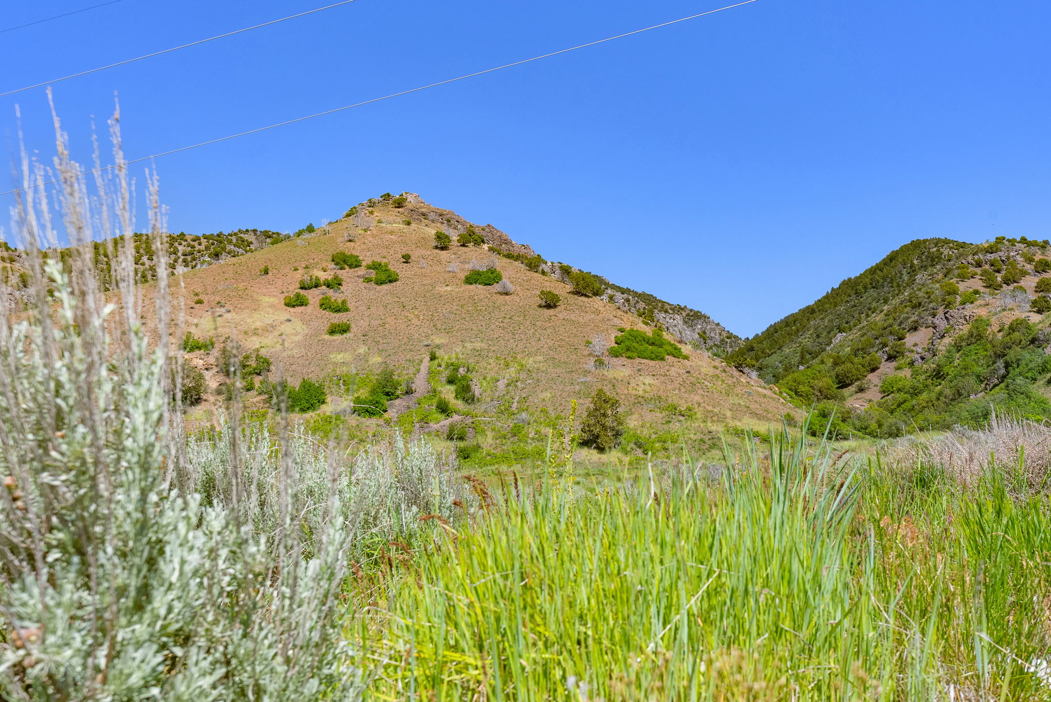 LITTLE BALDY PLACE - Land