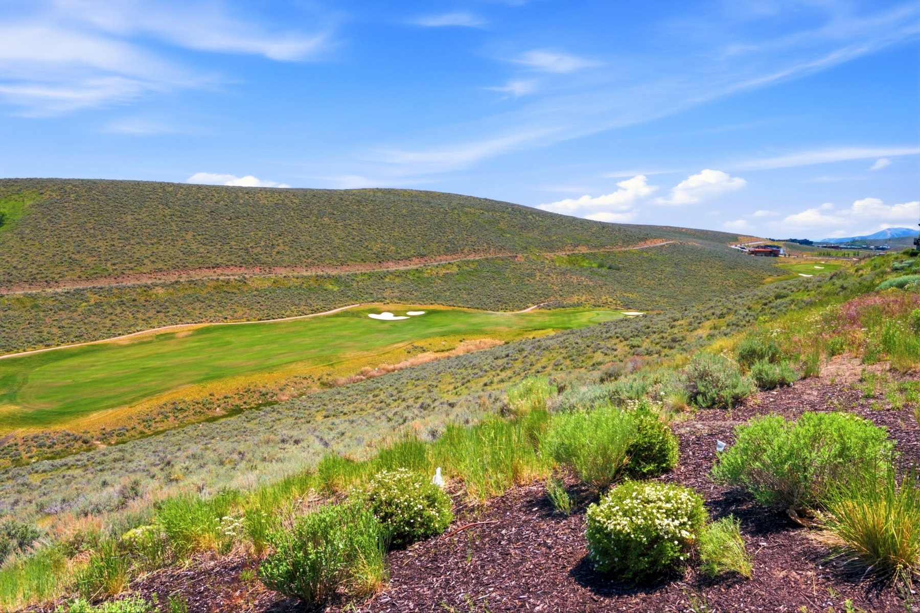 VILLAS AT PAINTED VALLEY - Residential