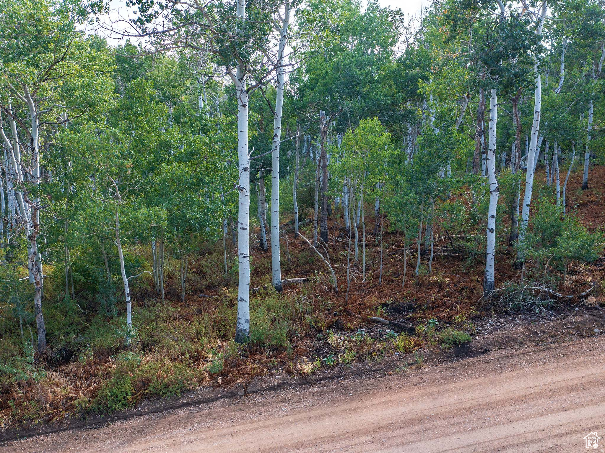 TIMBER LAKES - Land
