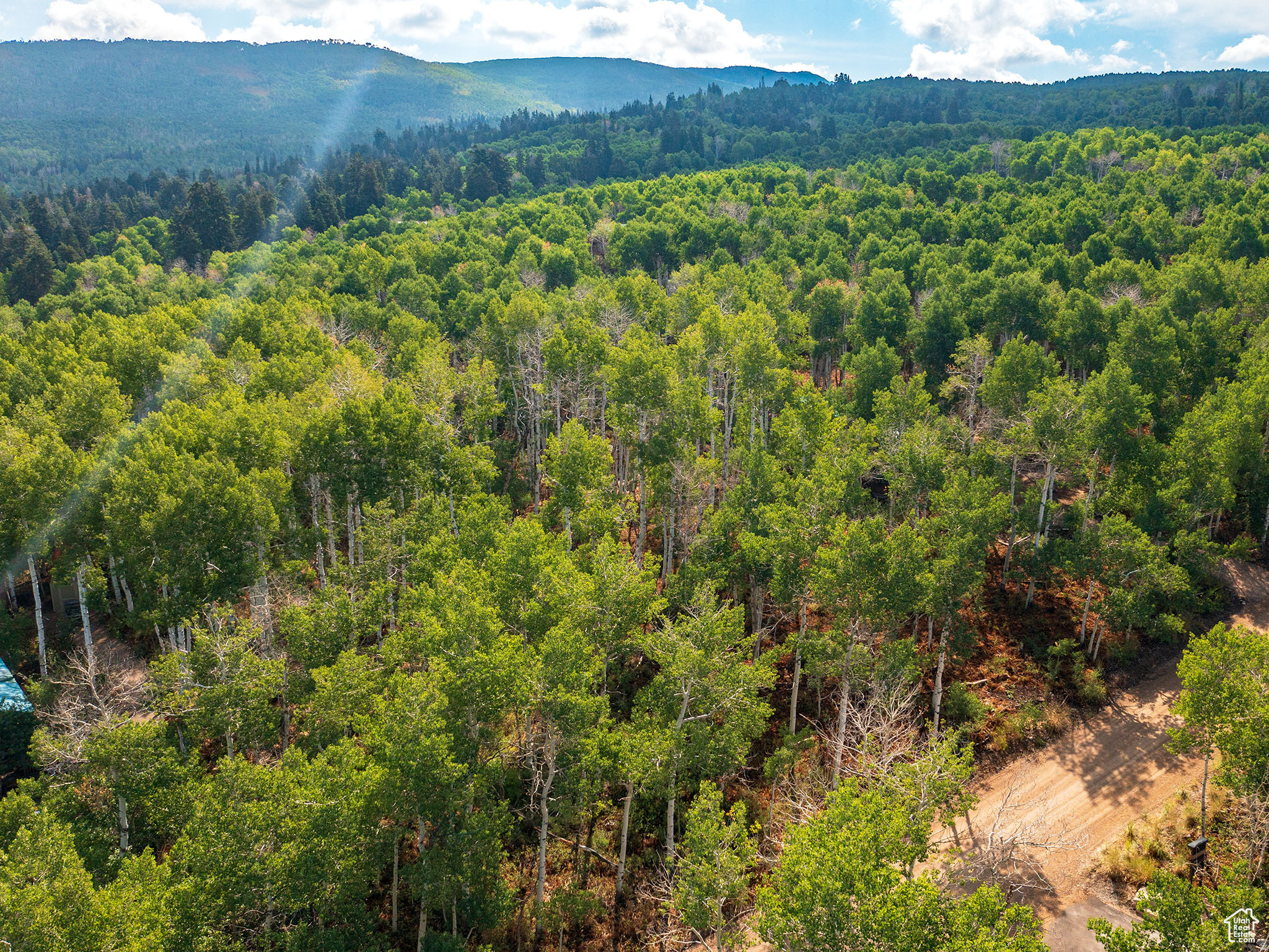 This incredible, heavily-wooded 1 Acre lot is nestled in the soaring aspens of upper Timber Lakes mountain, offering a true sanctuary to build your dream cabin or year-round retreat. With convenient year-round access, you'll enjoy breathtaking sunsets, abundant wildlife, and the peaceful charm of your own private forest. This slice of mountain paradise is complete with a passing perc test for a standard septic system and is ready to build on. Just minutes from Heber Valley and Park City, this setting combines seclusion with convenience, putting endless recreation, including... fishing, hiking, ATV riding, golfing, skiing, snowshoeing, and epic snowmobiling right at your doorstep.