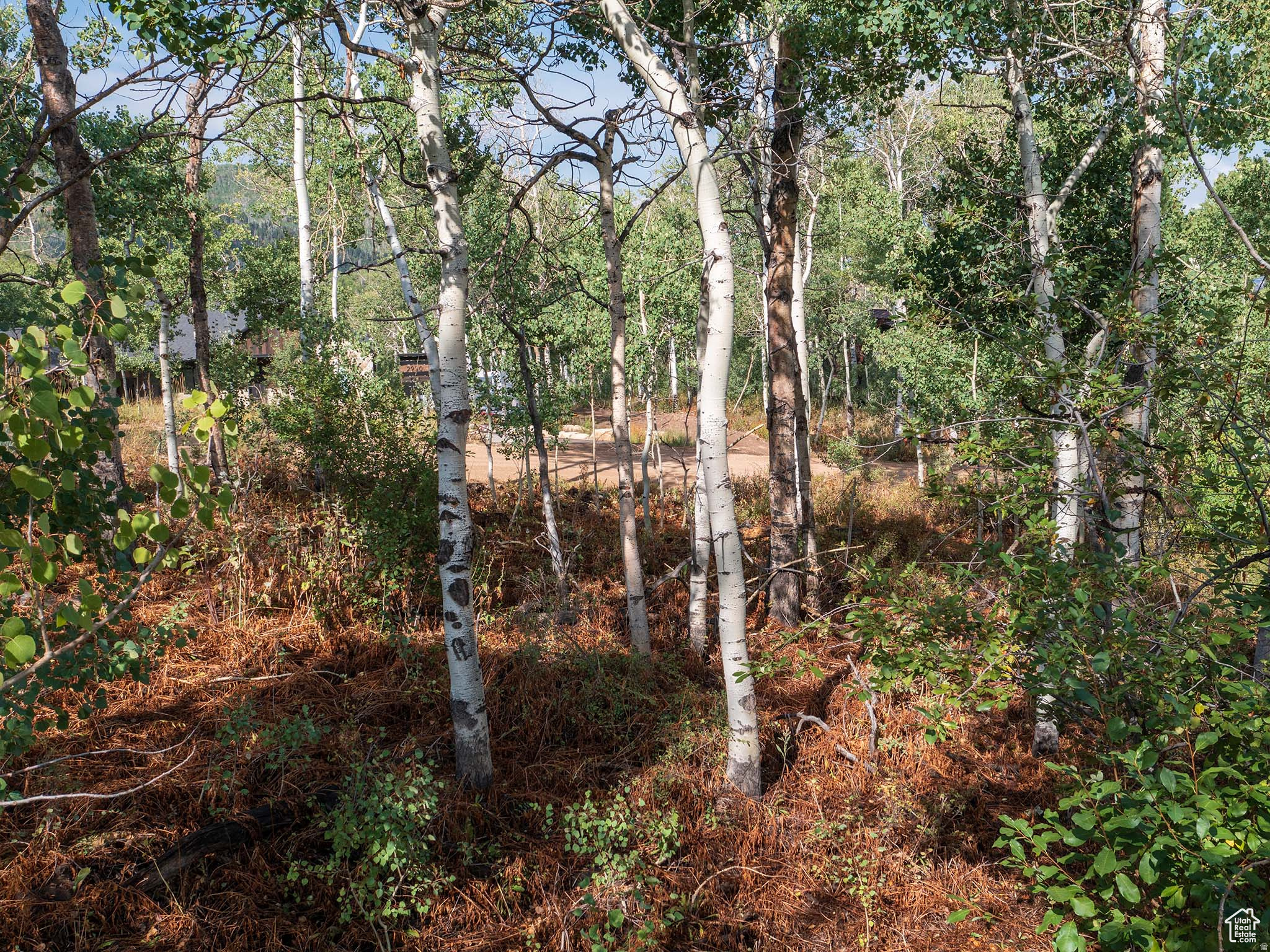 TIMBER LAKES - Land
