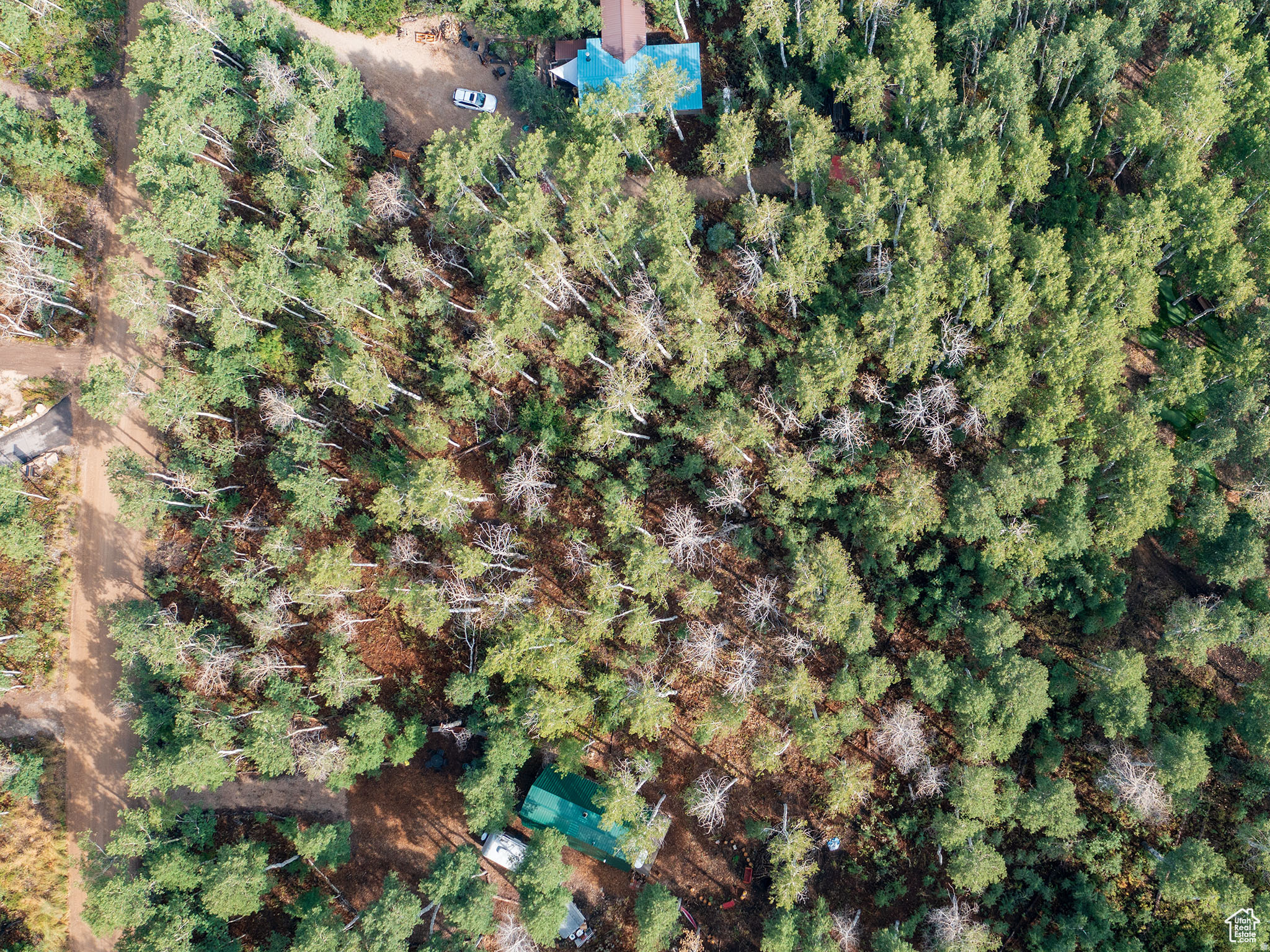TIMBER LAKES - Land
