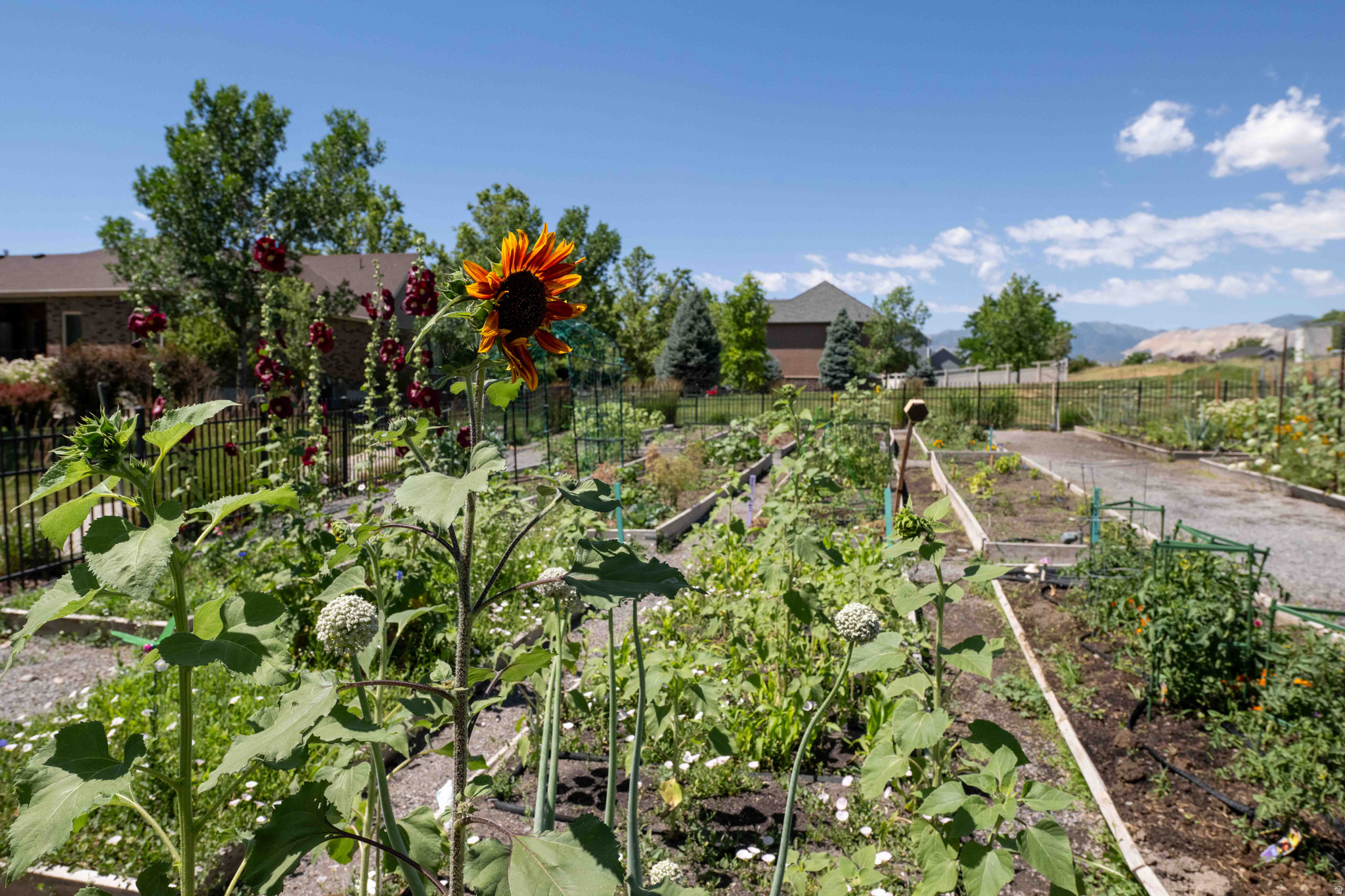 KENNECOTT - Residential