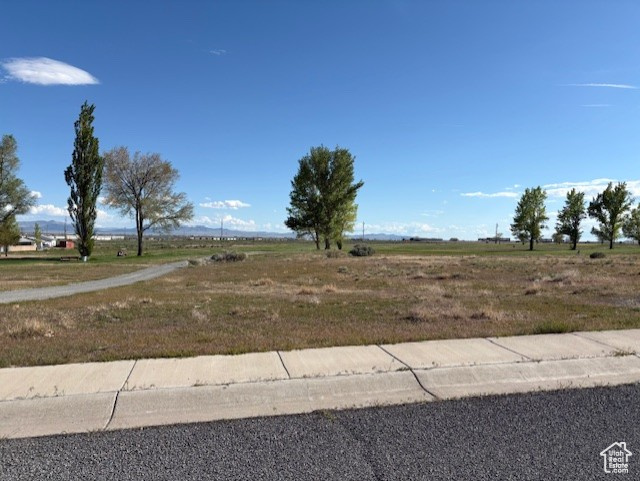 IRONWOOD - Land