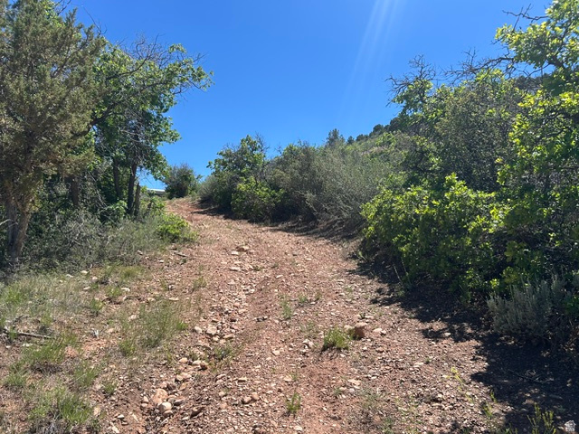 MT TABBY SPRINGS PLAT 4 - Residential