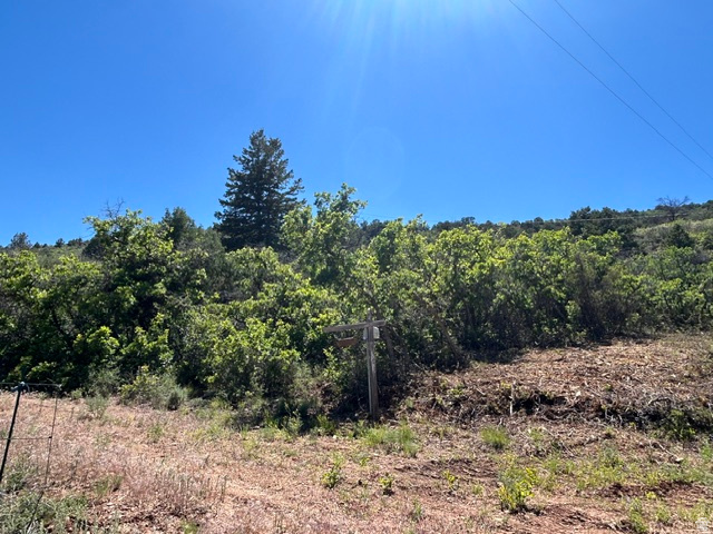 MT TABBY SPRINGS PLAT 4 - Residential