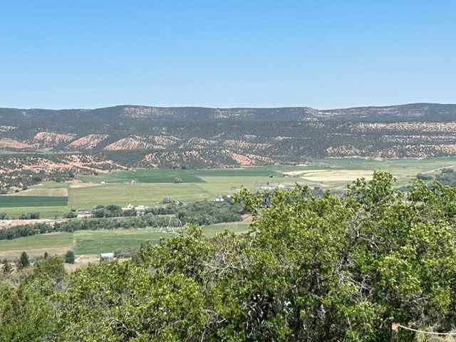 MT TABBY SPRINGS PLAT 4 - Residential