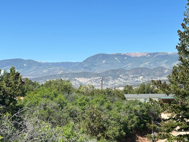 MT TABBY SPRINGS PLAT 4 - Residential