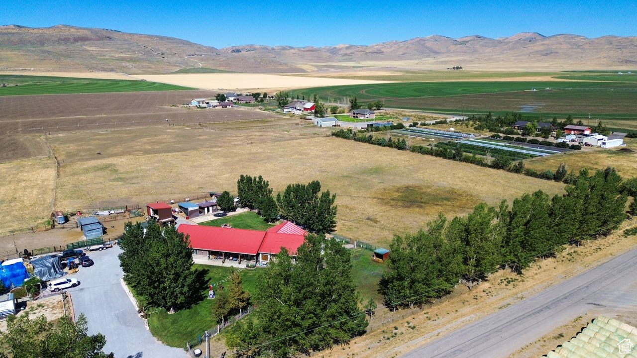 **PRICE REDUCTION** Rare, Hard to Find and Absolutely Beautiful-1 level Ranch Style Home & Horse Property situated on 6.5 irrigated acres in Tremonton. This home features 3 bedrooms (master bed & bath has walk in closets), 2 bathrooms, large kitchen, granite counter tops throughout, custom walnut cabinets, family room, laundry room, large 2 car garage (with a partial bathroom inside), metal roof, private well, Generac generator, wheelchair ramp, outdoor water faucets, fully landscaped, and several outbuildings which include: 2 chicken coups, 2 hayseeds, a livestock shelter and a she shed.  Buyer/Buyer's Agent to verify all information for accuracy.