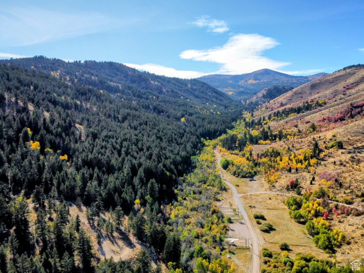 Beautiful 22.53-acre mountain property located at the mouth of scenic Skinner Canyon near Nounan. This exceptional parcel offers a peaceful setting with stunning mountain and valley views, abundant mature trees, and excellent access to outdoor recreation.  Power is available along Skinner Canyon Road, and Caribou-Targhee National Forest is just a short drive up the canyon, providing convenient access to hiking, hunting, ATV trails, camping, and year-round recreation. Skinner Canyon Road is maintained for year-round access.  The acreage offers a beautiful mix of rolling hill ground and wooded terrain with multiple potential building or recreational sites. Whether you are looking for a private getaway, future cabin location, or investment property, this parcel offers outstanding potential in a highly desirable rural setting.  Please note the property does not currently border the county-maintained road, and an access road will need to be installed.  Contact the listing agent today for additional information or to schedule a private showing.