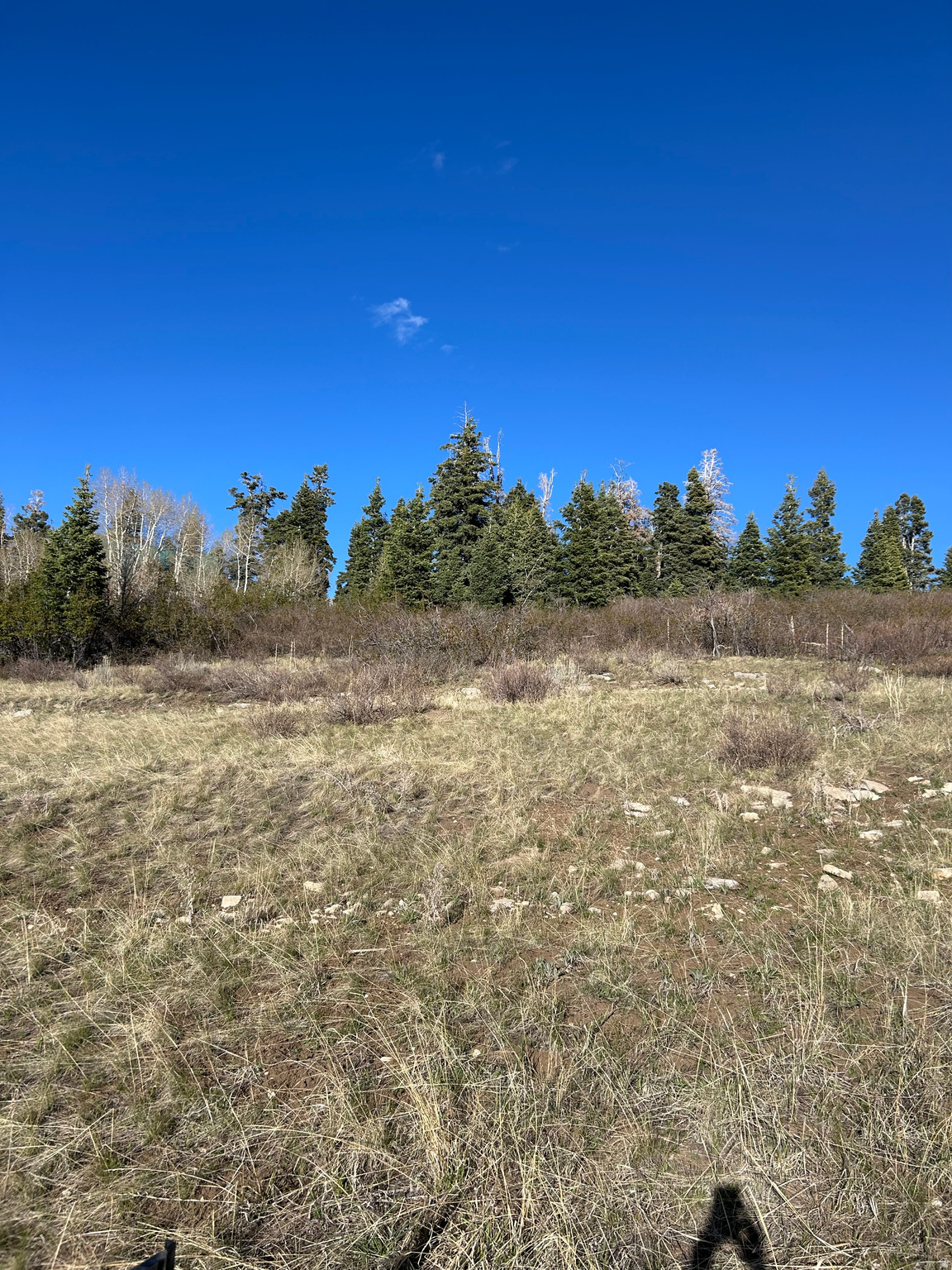 Beautiful lot located in the Skyline Mountain Resort. This property offers an ideal combination of scenery, privacy, and ease of use-requiring very little work to begin enjoying immediately. The area is rich with outdoor recreation opportunities such as hiking, camping, ATV riding. Snowmobile or snow cat will be required for access in winter months. A central water filling station is located approximately one mile away for tank filling. The seller also owns Lot J6 and is willing to sell it as well. Lot is located next to a common area.
