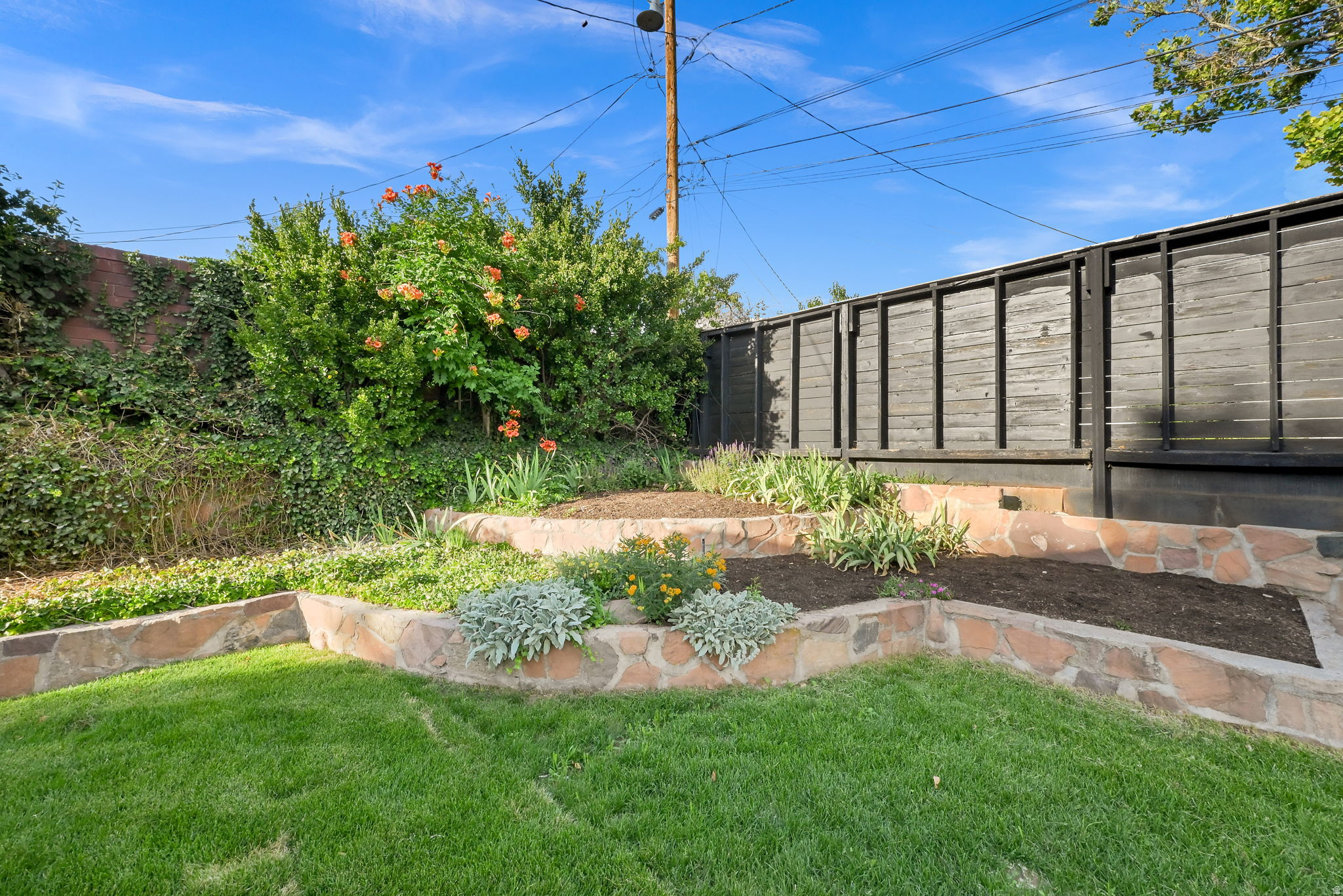 EL RAY PARK - Residential