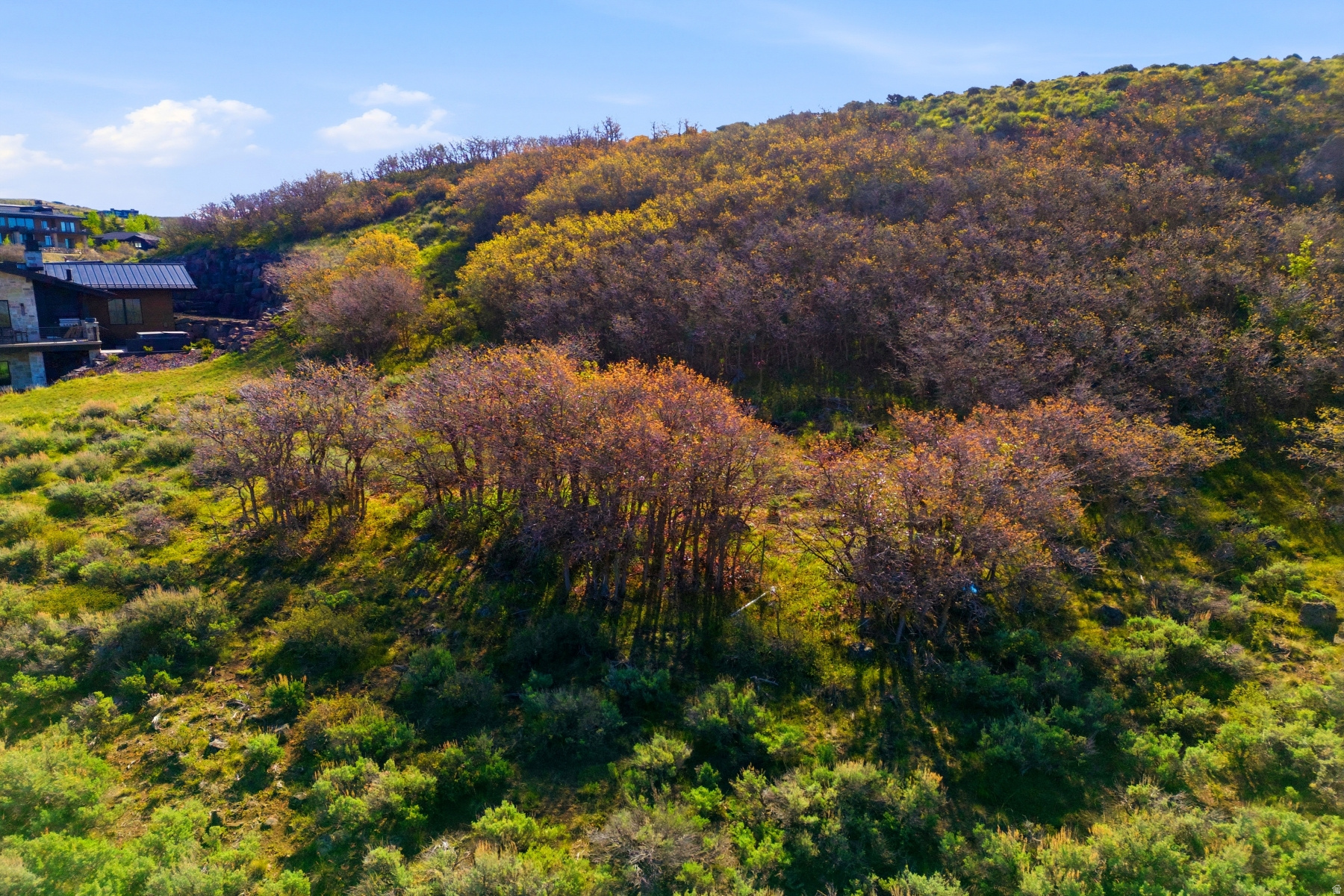 NORTHGATE CANYON SUBDIVISION - Land