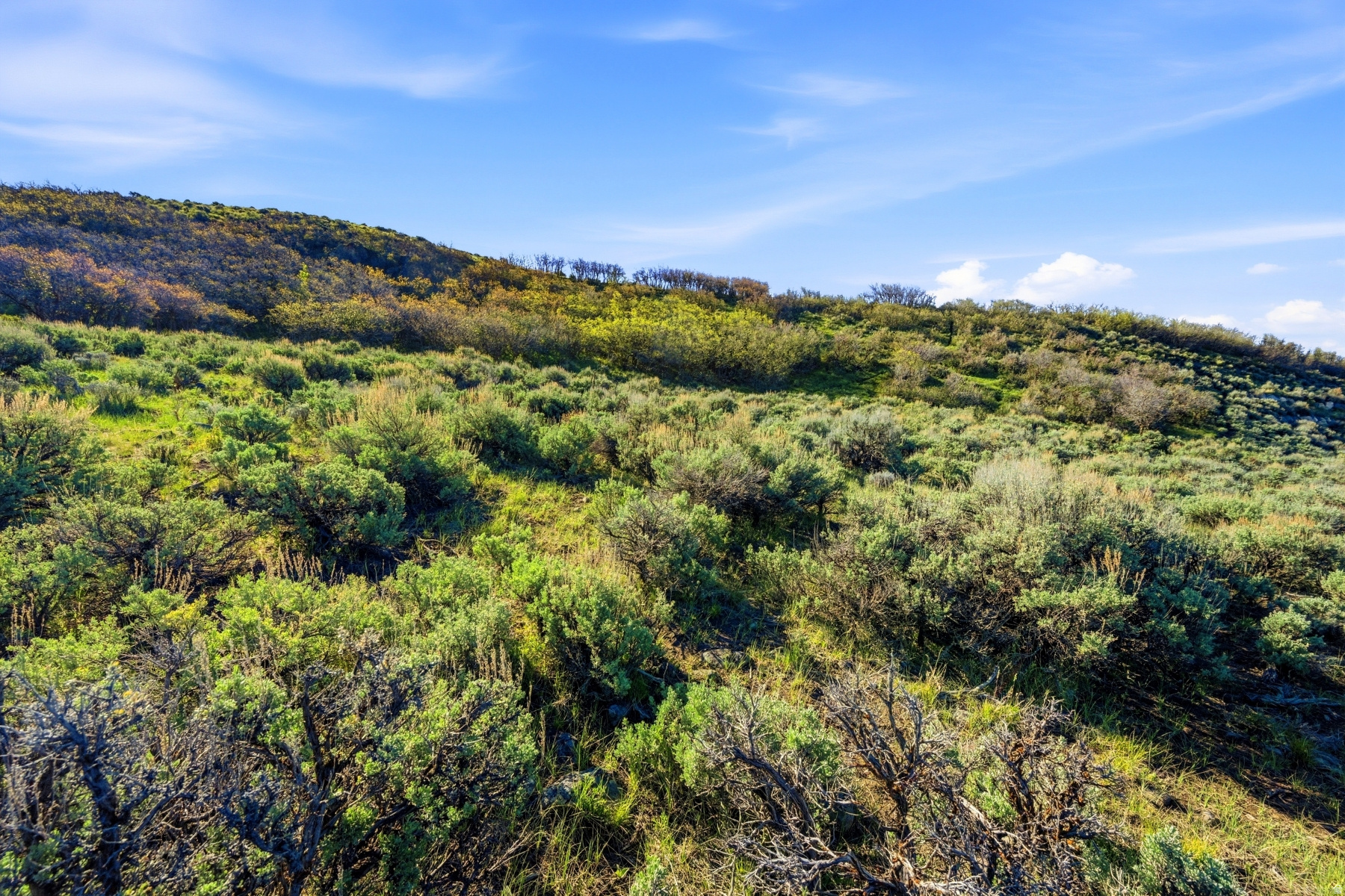 NORTHGATE CANYON SUBDIVISION - Land
