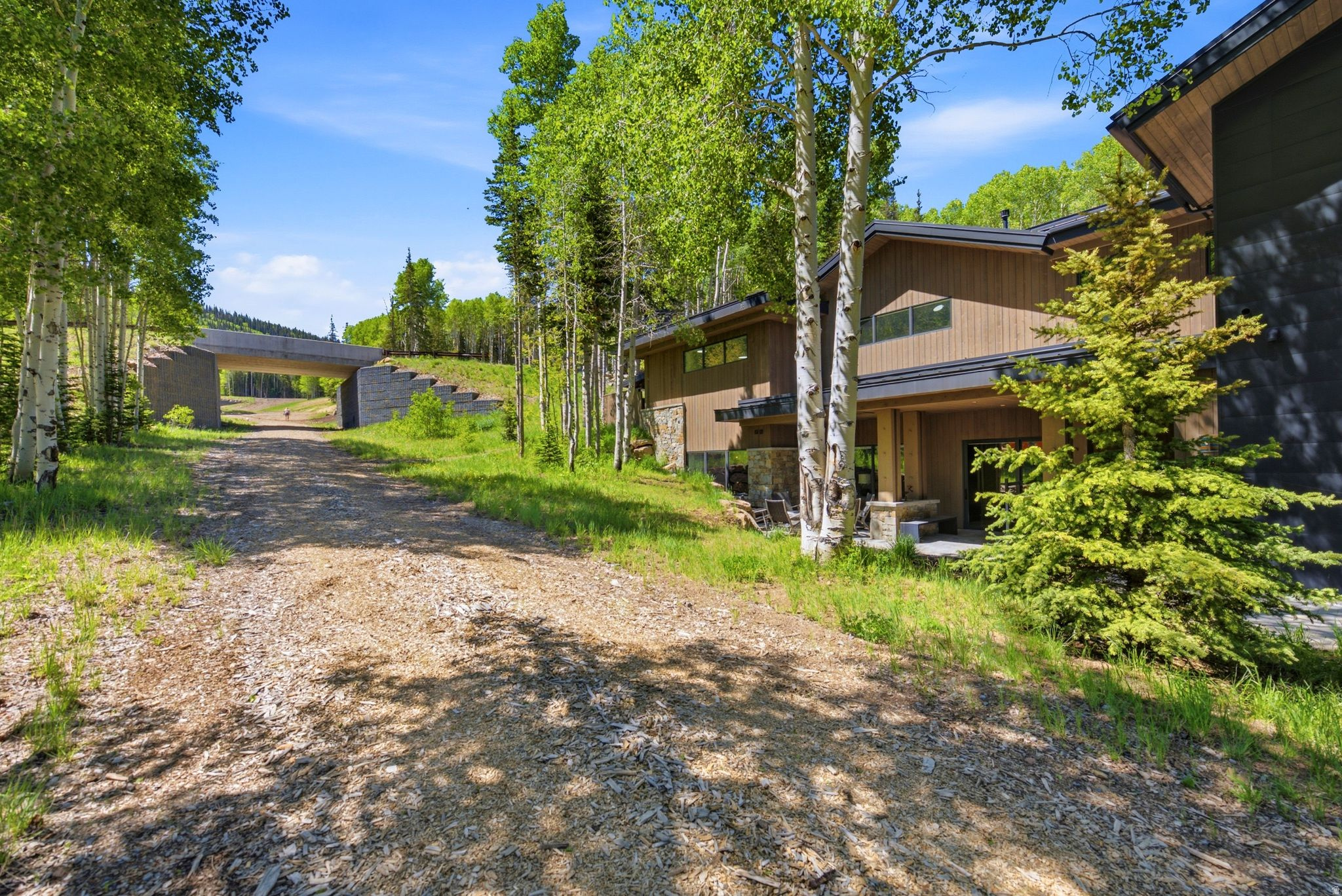 COLONY AT WHITE PINE CANYON - Residential