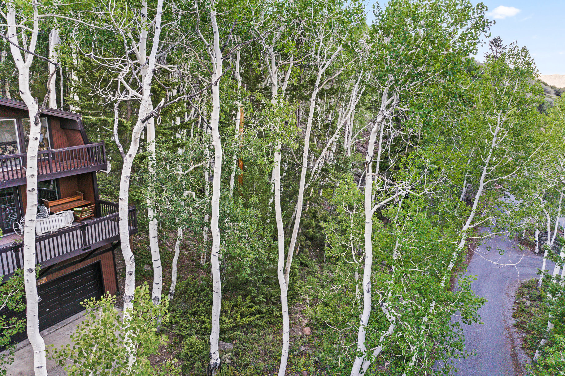 ASPEN HEART SUMMER HOMES - Residential