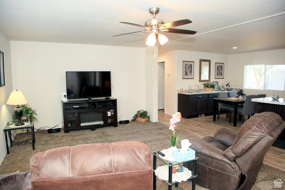 PALATIAL LIVING - Residential
