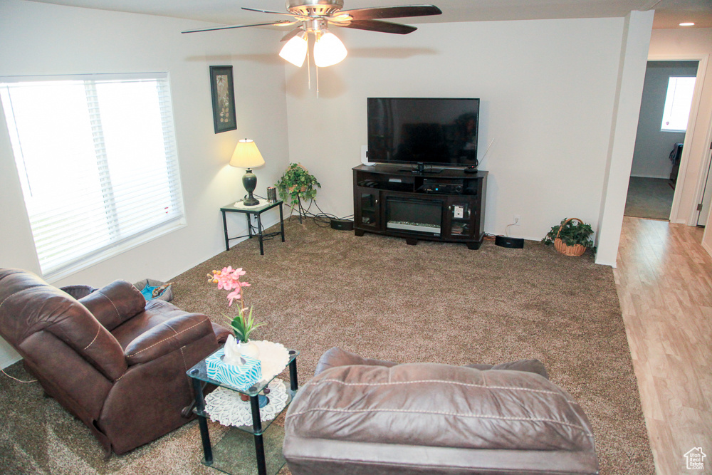 PALATIAL LIVING - Residential
