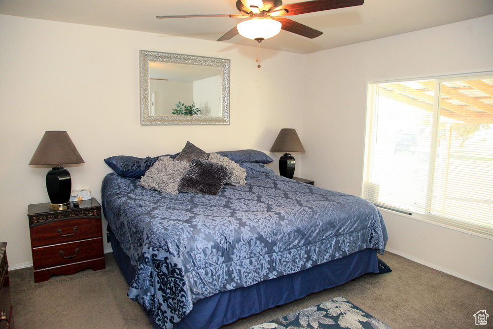 PALATIAL LIVING - Residential