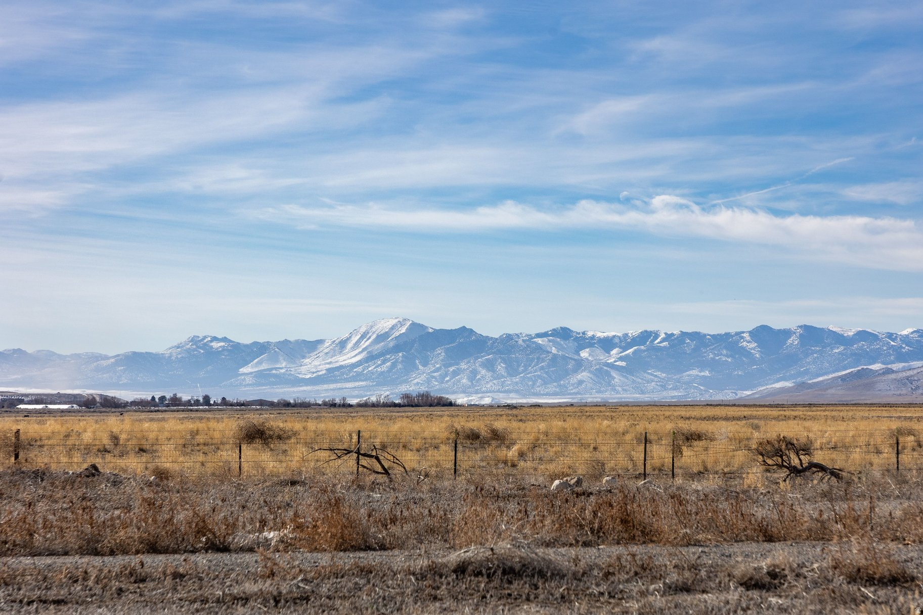 BROWN - Land