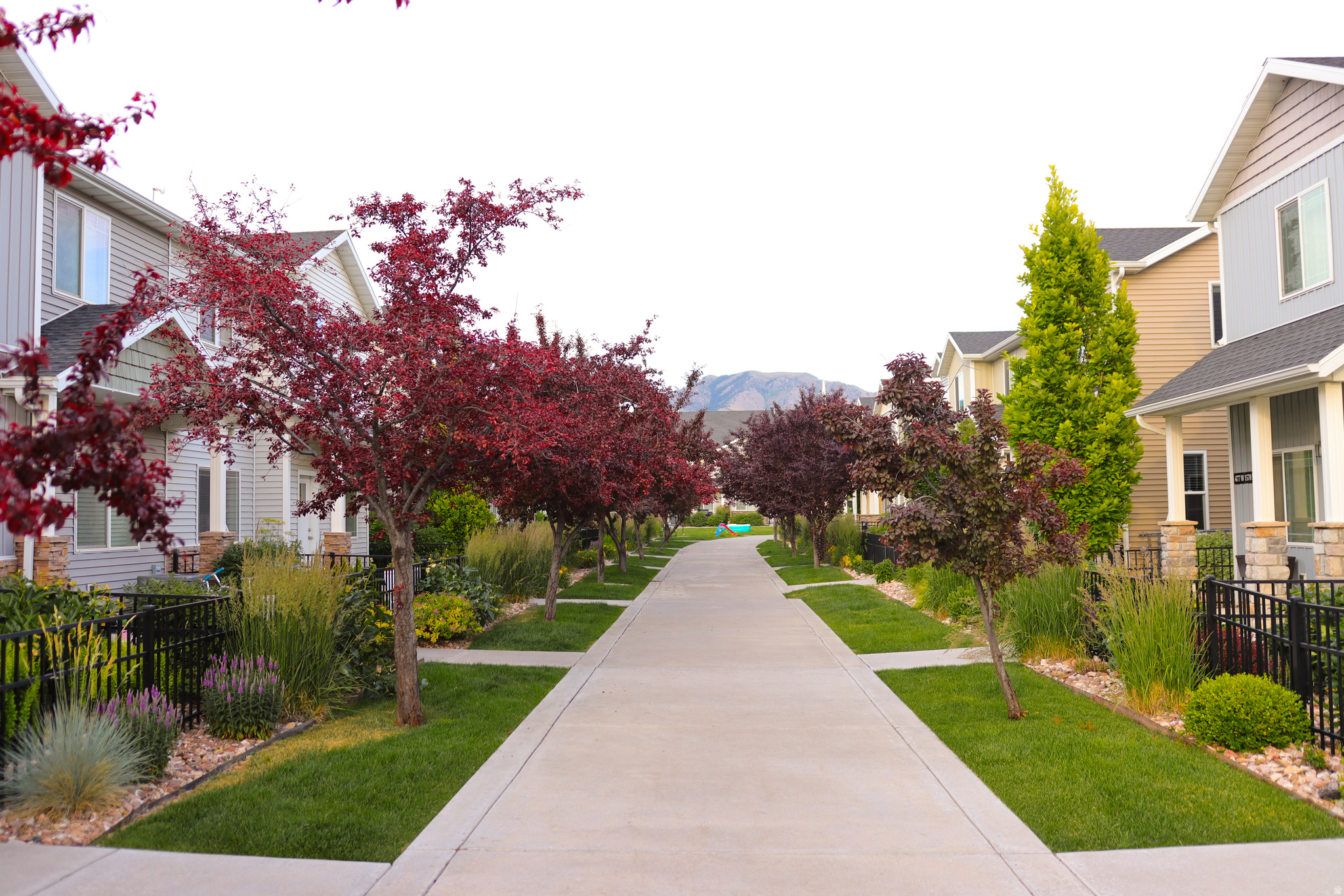 BRIDGERLAND MEADOWS - Residential