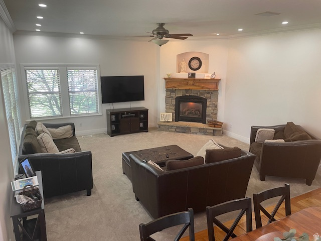 PEACEFIELD - Residential