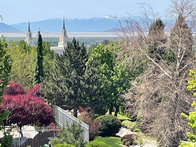 PEACEFIELD - Residential