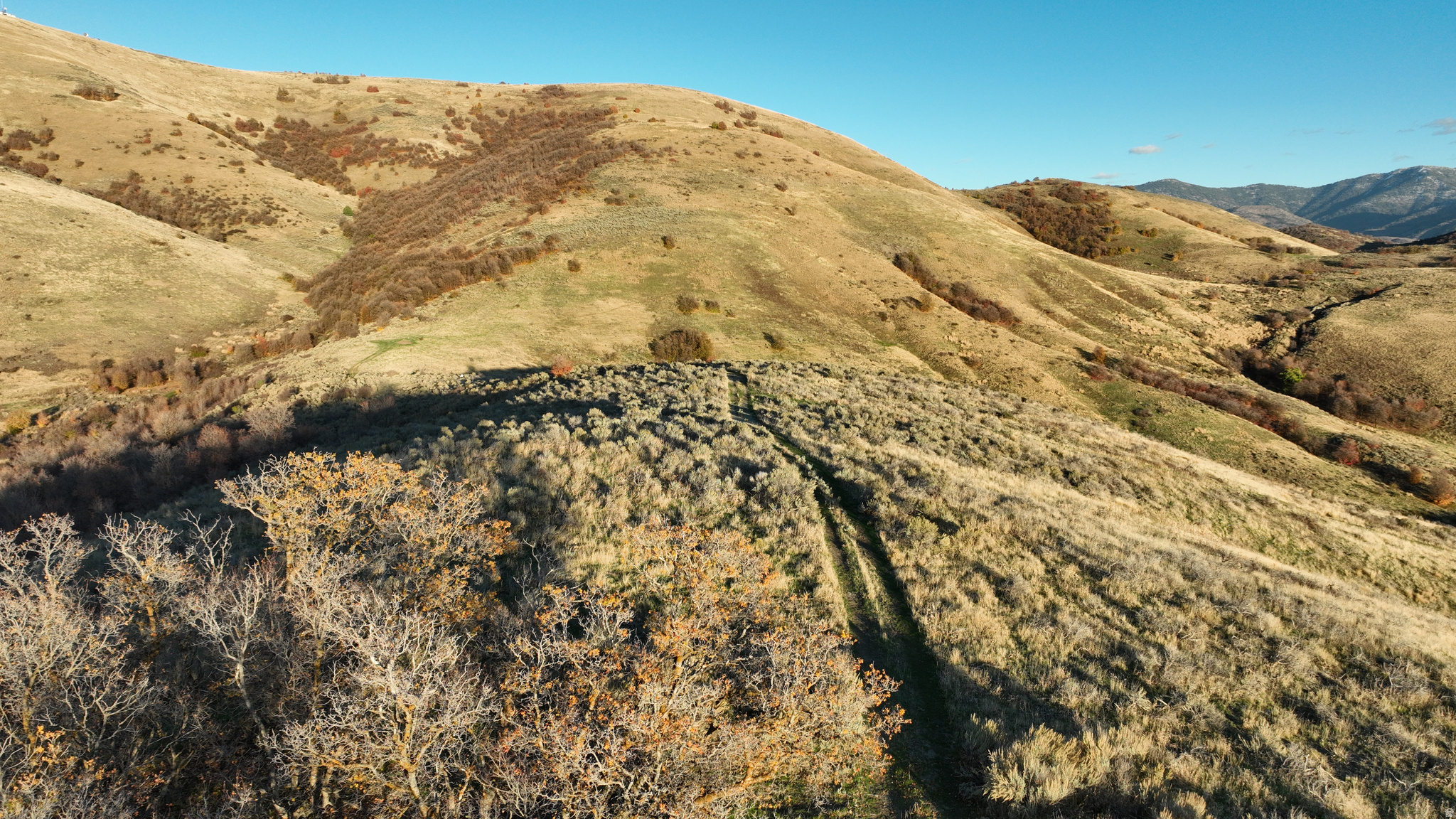 Gated Access Hunting Base Bordering Landlocked State & BLM Lands - Mule deer, elk, turkeys, pheasant, grouse on property throughout the year.  - Large resident elk population in the area.  - Joins 326 acres of landlocked state ground + another 84 acres of BLM. - Nice drainage funnel through the middle of the property. - Situated close to agriculture and water (Johnson reservoir). - Cattle grazing and hunting opportunities.  - Gated access easement. - 4 miles from Preston --Exceptional opportunity to own your private hunting and recreation base just 4 miles from Preston, Idaho. This property offers a rare combination of privacy, wildlife, and panoramic views - overlooking the surrounding mountains and fertile valley below. It adjoins 326 acres of landlocked State ground plus another 84 acres of BLM land, providing direct access to hundreds of acres rarely reached by the public.  A natural drainage runs through the heart of the property, creating a prime travel corridor for big game. Mule deer, elk, turkeys, pheasant, and grouse can be found here year-round, with a large resident elk population frequenting the area. The blend of habitat, nearby agriculture, and proximity to Johnson Reservoir make this a top-tier location for hunters and outdoor enthusiasts alike.  In addition to trophy hunting, the acreage supports seasonal cattle grazing and offers plenty of room for a camp setup. A gated access easement ensures privacy and security. Whether you're seeking a personal getaway, hunting headquarters, or long-term legacy property, this scenic Idaho parcel delivers incredible views, abundant wildlife, and unmatched access to public lands.