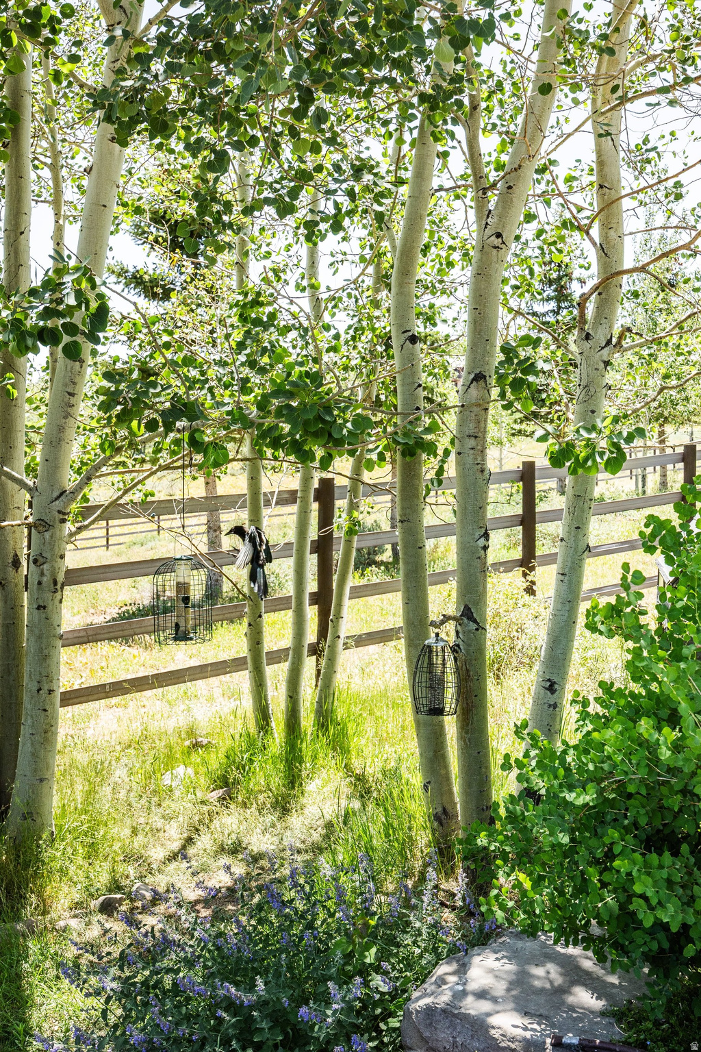 THE RIDGE AT RED HAWK SUBDIVISION - Residential