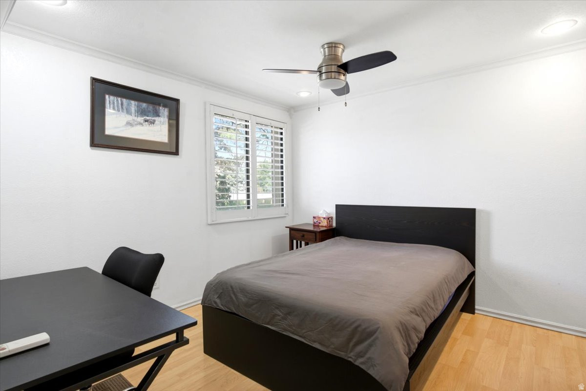 TOWNE PARK - Residential
