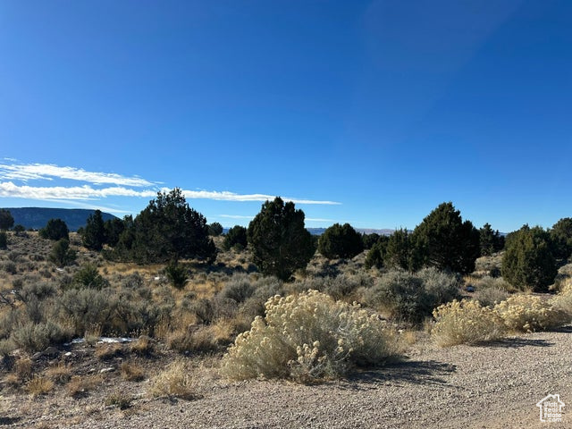 NORTH CREEK RANCH - Land