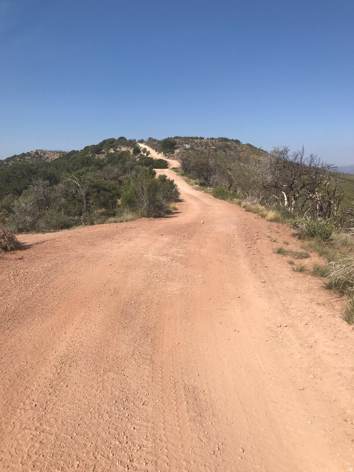 215 MOUNTAIN VIEW ESTATES - Land