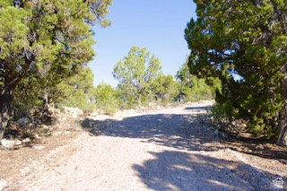 PANORAMA WOODS - Land