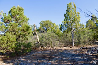 PANORAMA WOODS - Land