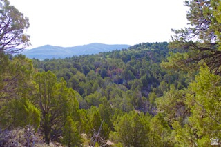 PANORAMA WOODS - Land