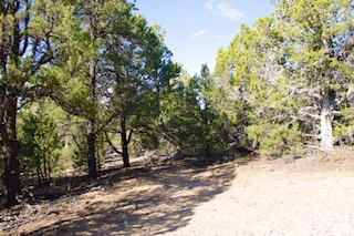 PANORAMA WOODS - Land