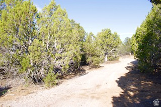PANORAMA WOODS - Land