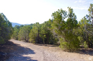 PANORAMA WOODS - Land
